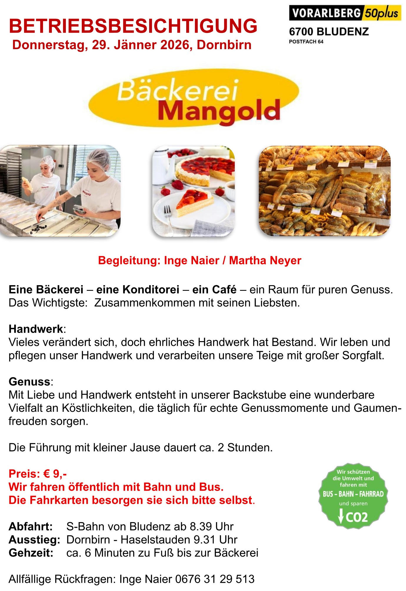 2026 Beschreibung Mangold ok Page 1