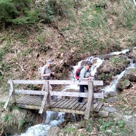 tn_IMG-20240409-WA0006