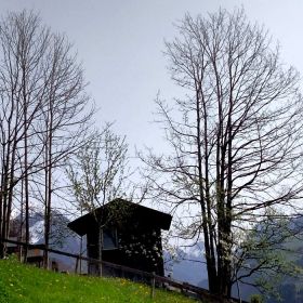 tn_IMG-20240409-WA0008