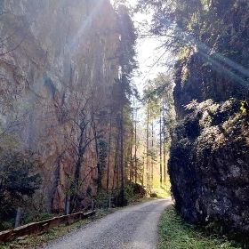 arbogast1kl