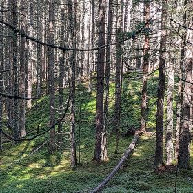 gargellen25kl