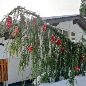 2026_bregenz_fluh12kl