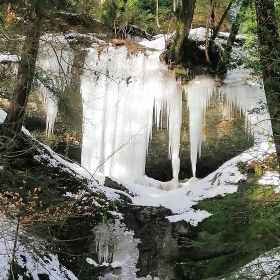 2026_bregenz_fluh14kl