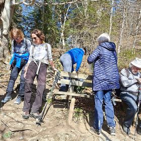 2026_laz_steinle10kl