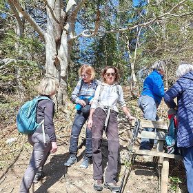 2026_laz_steinle15kl