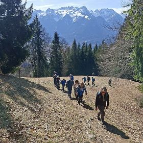 2026_laz_steinle17kl