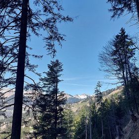 2026_laz_steinle18kl