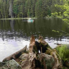 bayrischer-wald40