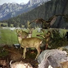 museum-frastanz21