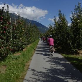 15_d.Obstgärten