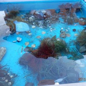 5-Unterwasserkrippe