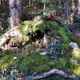 6_Waldkrippe