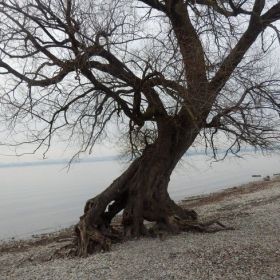 seeuferwanderung03