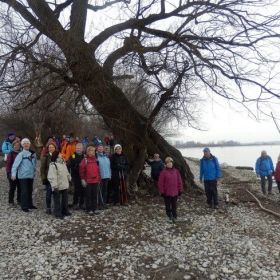 seeuferwanderung04