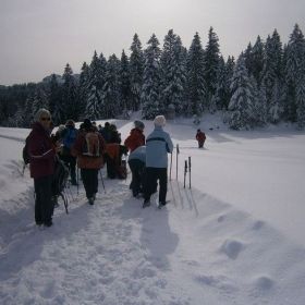 lustenauer-huette16