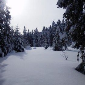 lustenauer-huette33