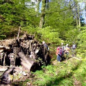 götzis-hohenems22