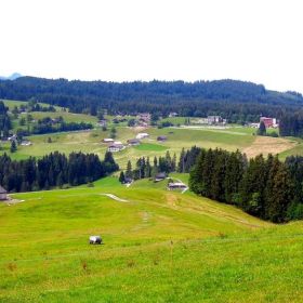 bödele23
