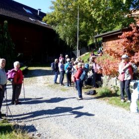 15_Rast