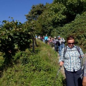 22_Weinbergweg