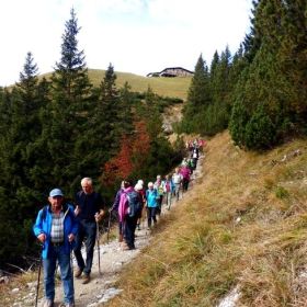 hoher_frassen14