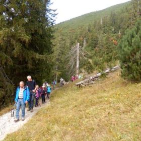 hoher_frassen15