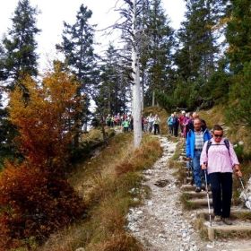 hoher_frassen16