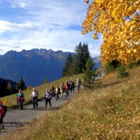 hoher_frassen20