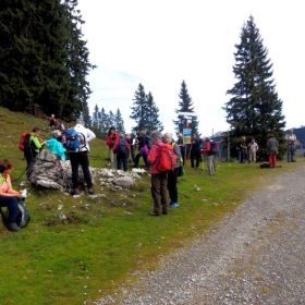 hoher_frassen22