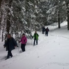 tschengla22