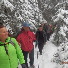 wald-a-A_06
