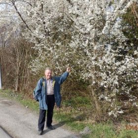 29_Fritz__Frühling