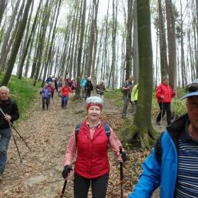 01_Grafenwald_