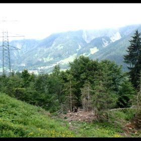20_Blick_auf_Wald_a