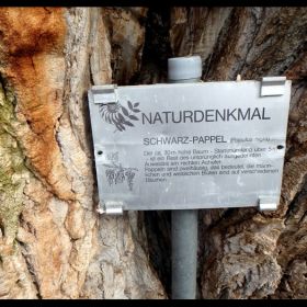 Kennelbach10