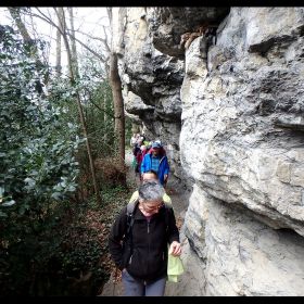 feldkirch19