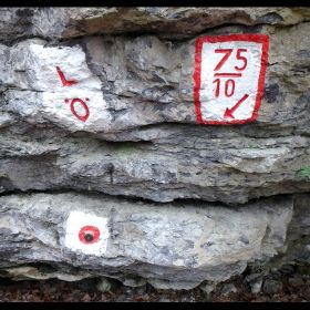 feldkirch21
