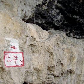 feldkirch59