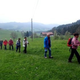 Bildstein06