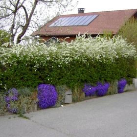 Bildstein35