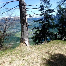 buerserberg28