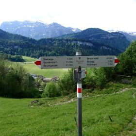 bezau09