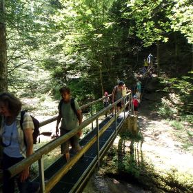 P6200032