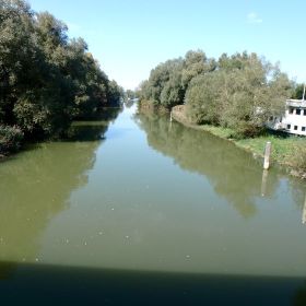 35_alter_Rhein