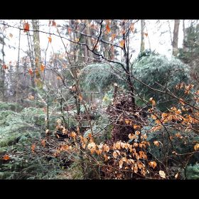 k-20180116_113103