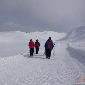 DSC00167