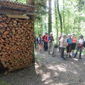 _18_thueringen12ok