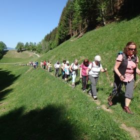 _18_thueringen25ok