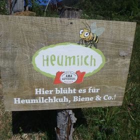 _18_thueringen28ok