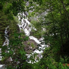 DSC00420